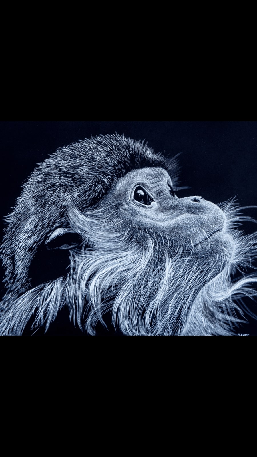 Langur monkey 11”x14” Sold
