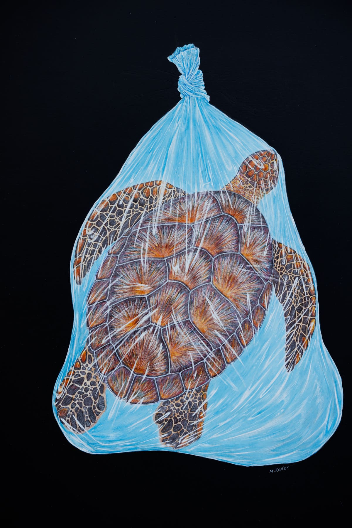 Save the turtles 10”x14”