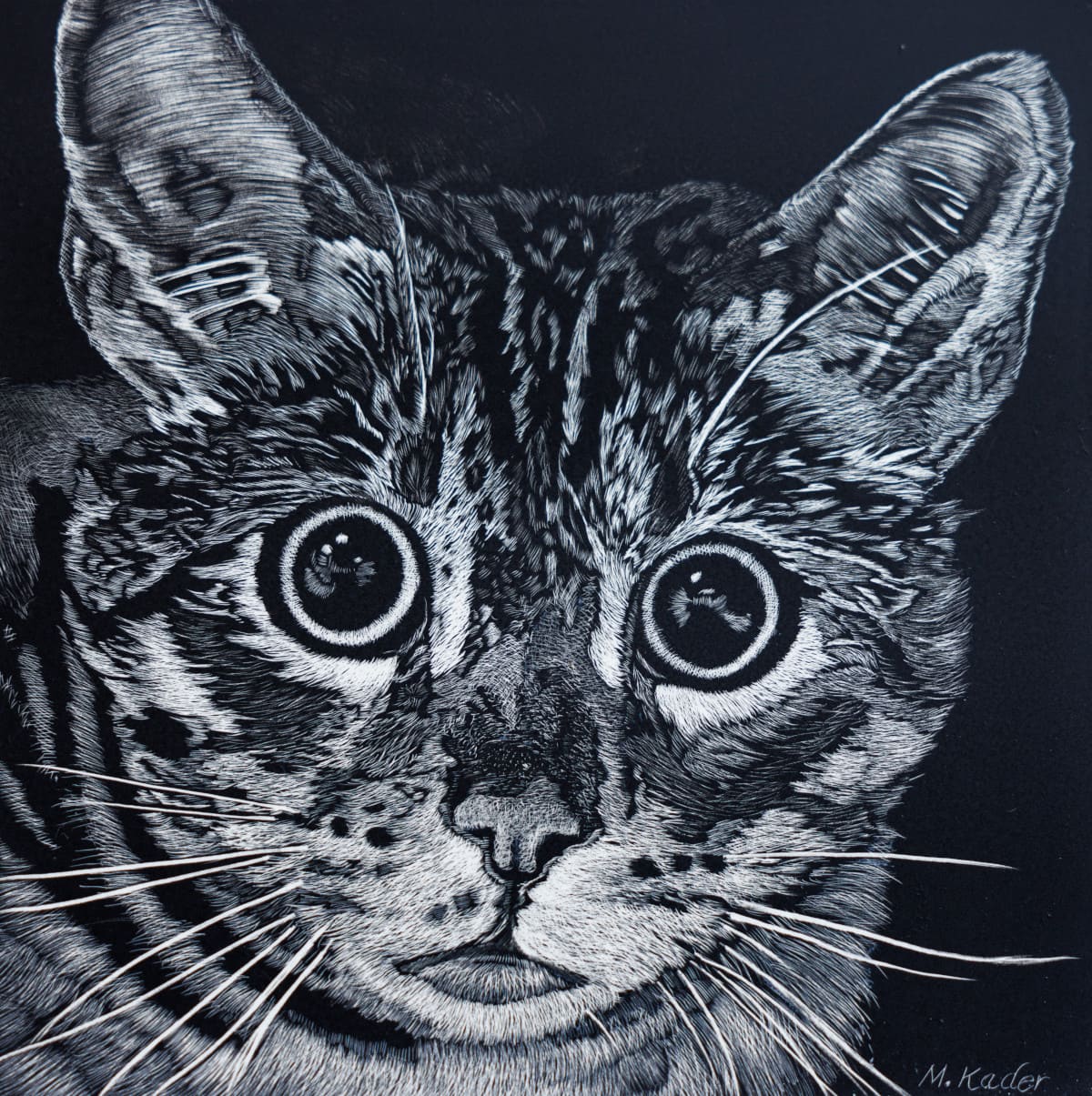 Whiskers 5”x5” Available